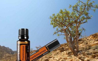 Weihrauch / Frankincense – die natürliche Wunderwaffe für Vitalität